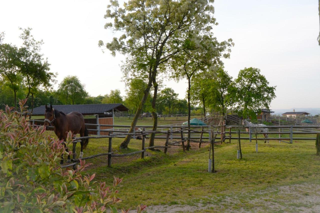 Pietra Cavalla - Ranch & * Polpenazze del Garda