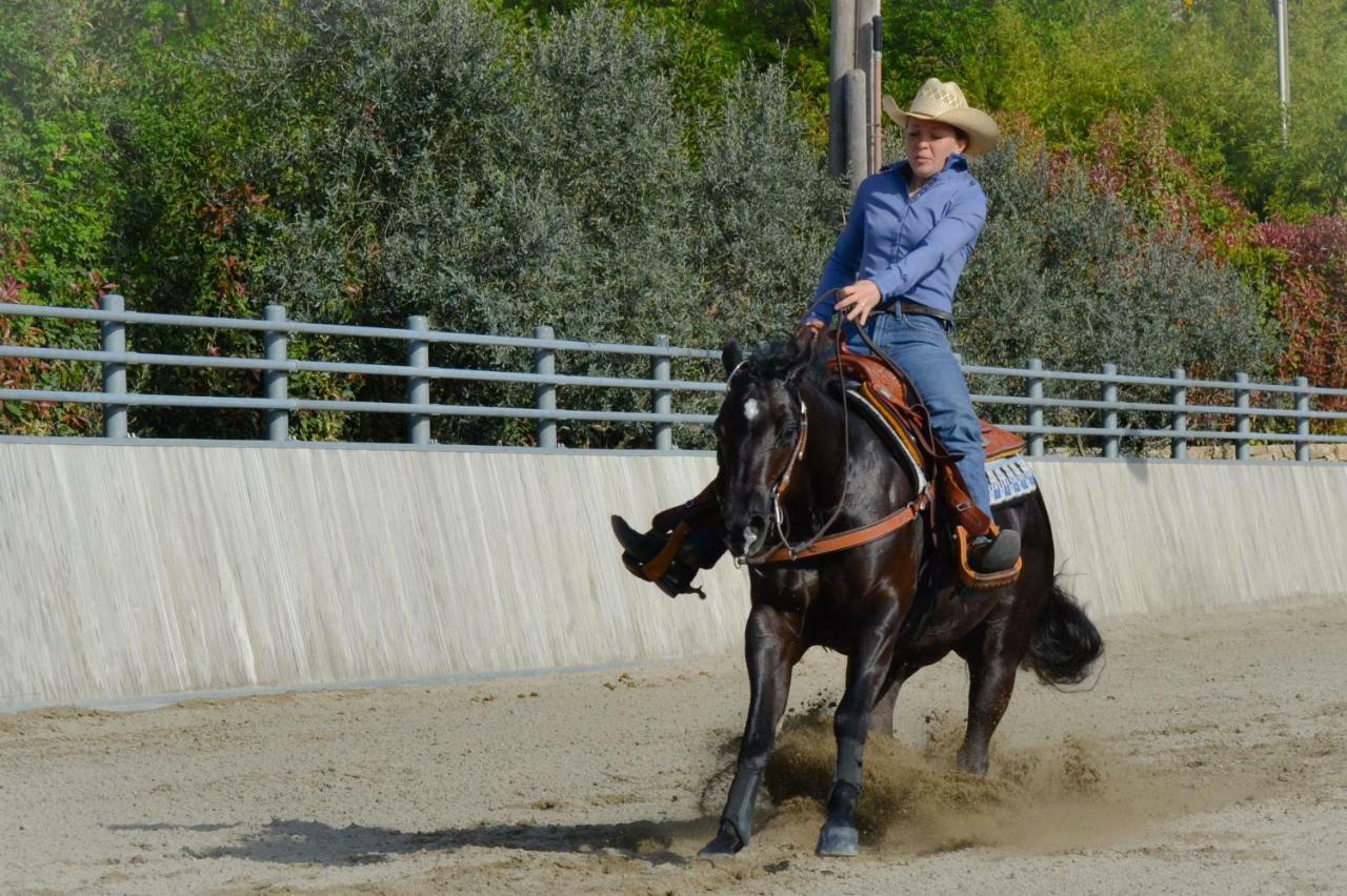 Pietra Cavalla - Ranch & Bauernhof