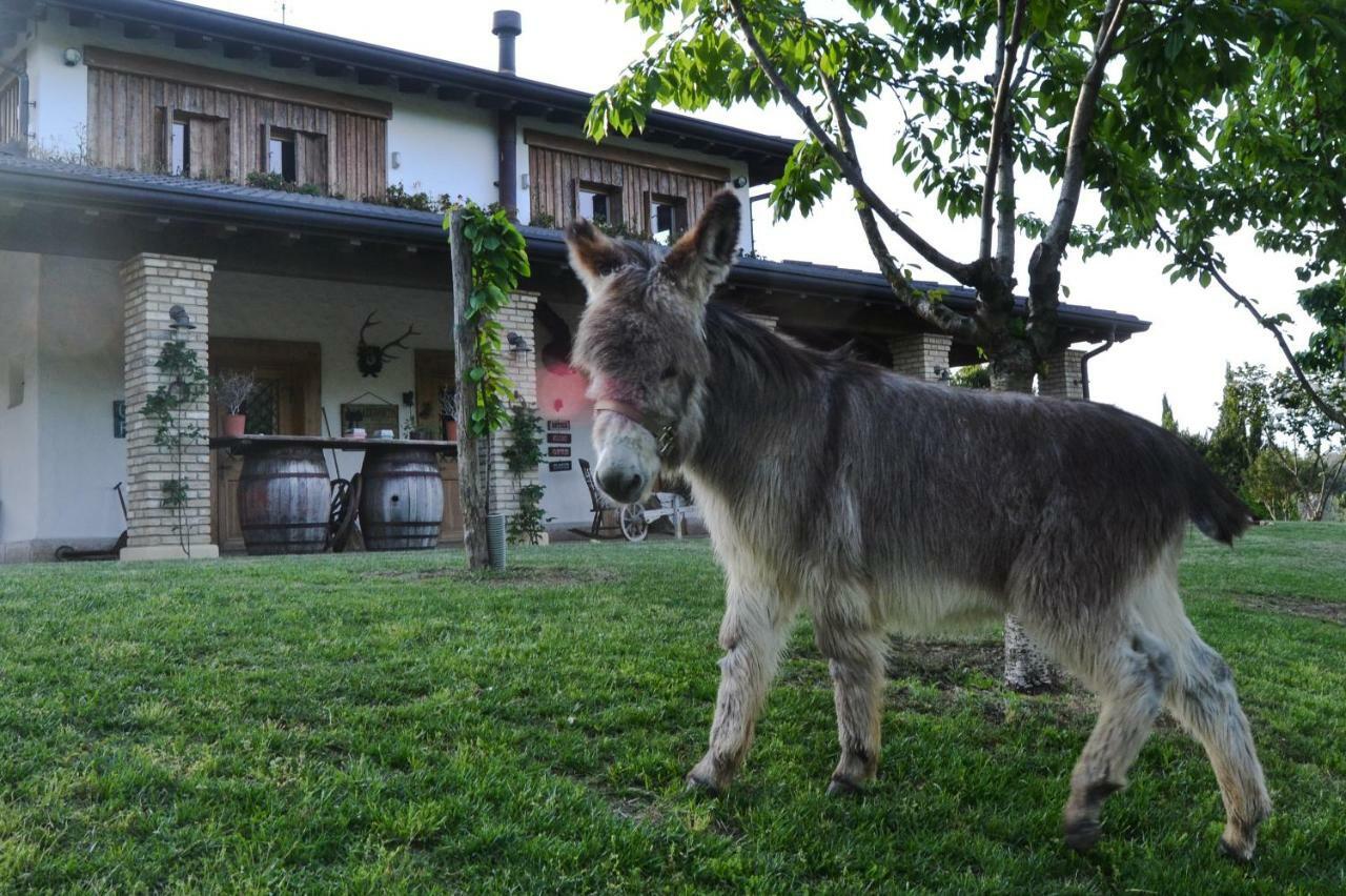 Pietra Cavalla - Ranch & *
